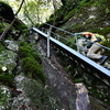 白露の加持ヶ峰遊山　苔の花