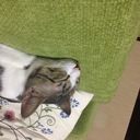 あっ、それ私のです。