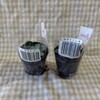 またダイソー多肉植物お輿入れ