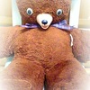 Gund Bear 復活物語