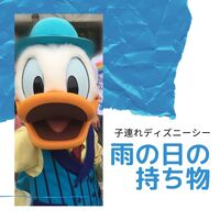 雨の日の子連れディズニーシーで 必要な持ち物は しっかり対策したら 2歳連れでも楽しめた むきだしのことば ワーママえむのブログ