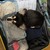 まろにー4024日目