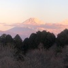 今朝の景色