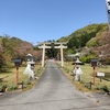藤の花！と思いきや。