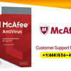 Support McAfee Antivirus 18885364219 McAfee Technical Support