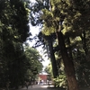 【鹿島神宮】に行ってきました〜すごい森林浴ができました〜