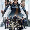 シリーズ第二弾✨『ファンタスティック・ビースト 黒い魔法使いの誕生』-ジェムのお気に入り映画