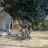 藤原範茂卿の墓・・・神奈川県南足柄市「範茂史跡公園」