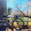 ベロナツカフェ〜井の頭公園〜大國魂神社〜武蔵国分寺跡〜Cycle Cafe French Valveぶらり旅