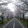 明日は「さが桜マラソン（ハーフ）」♪（朝練 4キロジョグ）