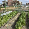 2025年11月29日の状況