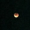 【スマホで撮ってみた】2025年9月8日の幻想的な皆既月食