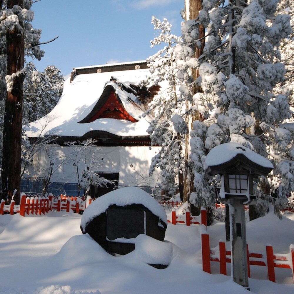 2026年は12年に一度の「午歳御縁年」羽黒山早朝参拝の旅