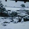 雪が凄かった。