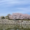 寂しくも思うが美しい