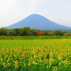 北海道の秋。〈北海道移住編〉