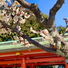 多治速比売神社