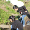 約束の「お散歩」続きです