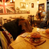 犬可店　TWO BRITS BURGER BAR 経堂
