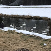 3月になったのに雪