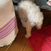 8月は随聞記を読まない随聞記の会