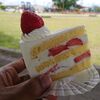 天童市新店オープン　kona to milk(コナトミルク)　苺ショートケーキをご紹介！🍰