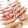 ふるさと納税のさつまいもがやってきた！