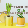 ケアマネ試験：認定の申請【乗り越えられる気持ちを応援】