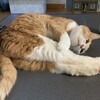 充実した１日