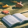 2025年2月・3月にKindleUnlimitedで読んだ本まとめ＆紹介
