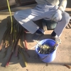 植木屋さんに出すお茶菓子は、栗羊羹もどき。