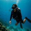 フィリピンで楽しむダイビング完全ガイド｜エリア別の魅力・ベストシーズン・体験方法を徹底解説
