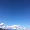 1月15日(水)しょぼーん