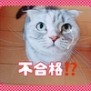 【解決】もしもアフィリエイト審査不合格？必見！意外過ぎる理由とは？