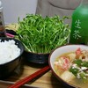 一人暮らしの学生なら豆苗を食べよう！with2016/12/8の食費