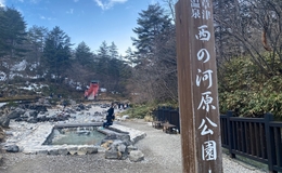 記事を見る