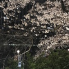 読後感想〜「ビジネスで一番、大切なこと」