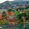 🍁嵐電でゆく京都紅葉・嵐山🍂