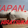 JAPAN’３　アート集団