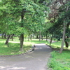 実走！名古屋RUNコース vol.113「瑞穂公園緑陰広場（瑞穂区）」。