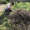 収穫した安納芋で焼き芋だぞぅ⭐︎岸和田市放課後等デイサービスほっとスペースあんの一日🌈