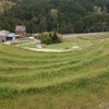 大阪唯一の村　千早赤阪村で棚田めぐり