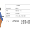 大殿筋のMVICに関する詳細な分析