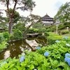 前橋公園 ひょうたん池（群馬県前橋）