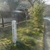 ◎ご供養（３７４）