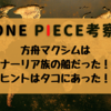 方舟マクシムはルナーリア族が乗っていた船だった！？ヒントは…タコにあった！