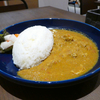 パッションフルーツの甘酸っぱさを感じるスキマカフェのスパイスチキンカレー＠鹿児島県西之表市西町