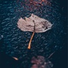 台風接近