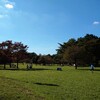 寄り道🎵シーズンラスト⁉️彼岸花🎆野川公園