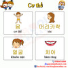 Từ vựng tiếng Hàn về cơ thể